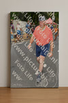 Evenement foto: Nijmeegse Vierdaagse 1050