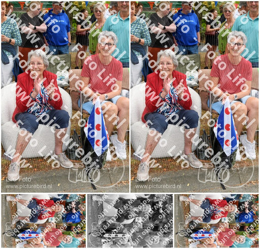 Evenement foto: Nijmeegse Vierdaagse 1050