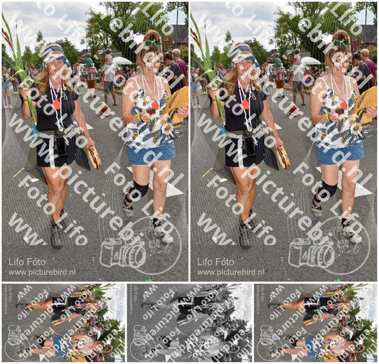 Evenement foto: Nijmeegse Vierdaagse 770