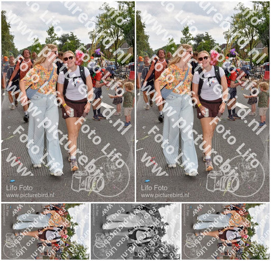 Evenement foto: Nijmeegse Vierdaagse 770
