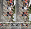 Evenement foto: Nijmeegse Vierdaagse 770
