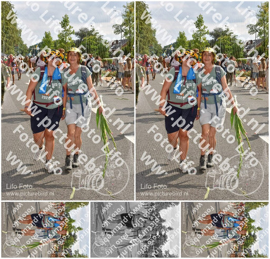Evenement foto: Nijmeegse Vierdaagse 770