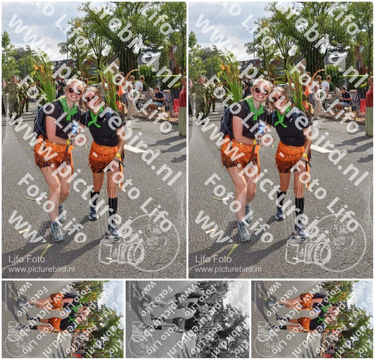 Evenement foto: Nijmeegse Vierdaagse 770
