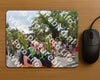 Evenement foto: Nijmeegse Vierdaagse 770