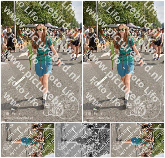 Evenement foto: Nijmeegse Vierdaagse 770