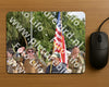 Evenement foto: Nijmeegse Vierdaagse 770