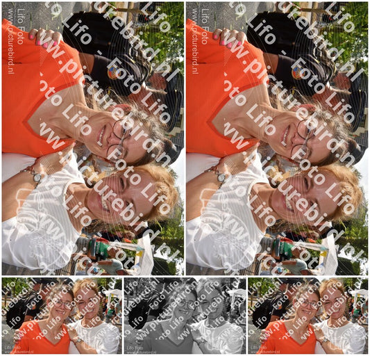 Evenement foto: Nijmeegse Vierdaagse 770