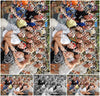 Evenement foto: Nijmeegse Vierdaagse 770