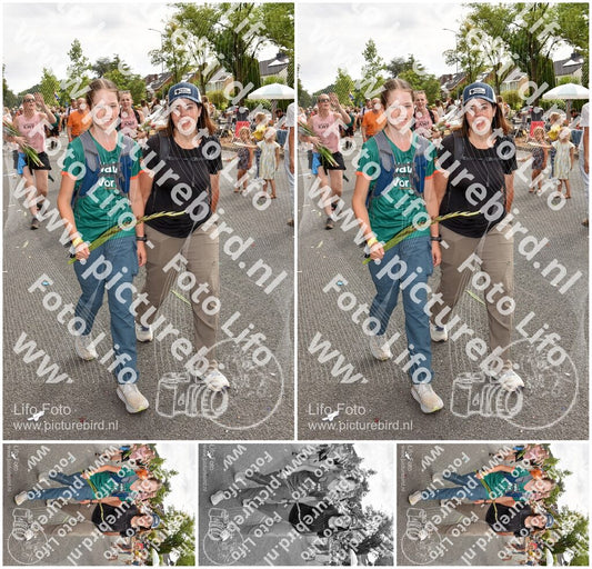 Evenement foto: Nijmeegse Vierdaagse 769