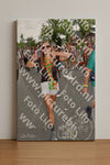 Evenement foto: Nijmeegse Vierdaagse 769