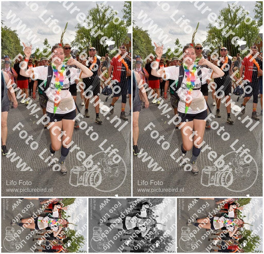 Evenement foto: Nijmeegse Vierdaagse 769