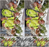 Evenement foto: Nijmeegse Vierdaagse 769