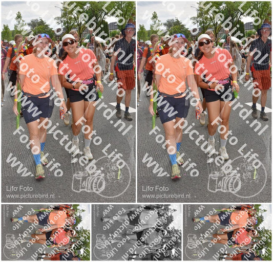 Evenement foto: Nijmeegse Vierdaagse 769