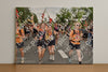 Evenement foto: Nijmeegse Vierdaagse 769