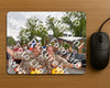Evenement foto: Nijmeegse Vierdaagse 769