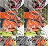 Evenement foto: Nijmeegse Vierdaagse 769