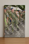 Evenement foto: Nijmeegse Vierdaagse 769