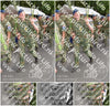 Evenement foto: Nijmeegse Vierdaagse 769