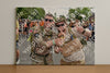Evenement foto: Nijmeegse Vierdaagse 769
