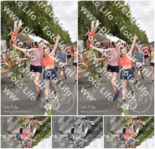 Evenement foto: Nijmeegse Vierdaagse 769