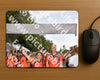 Evenement foto: Nijmeegse Vierdaagse 768
