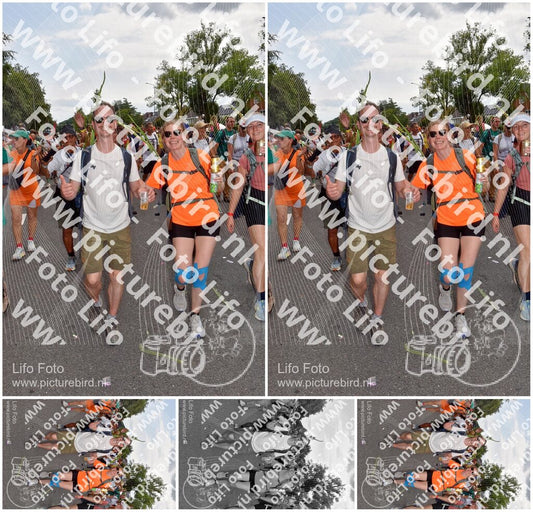 Evenement foto: Nijmeegse Vierdaagse 768