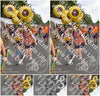 Evenement foto: Nijmeegse Vierdaagse 768