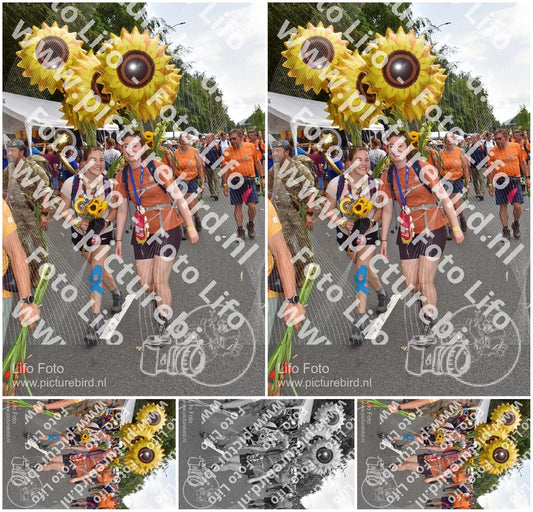 Evenement foto: Nijmeegse Vierdaagse 768