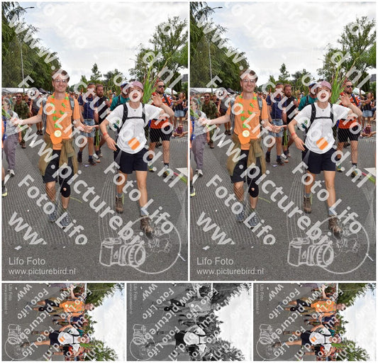 Evenement foto: Nijmeegse Vierdaagse 768