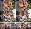 Evenement foto: Nijmeegse Vierdaagse 768
