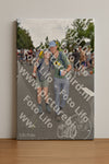 Evenement foto: Nijmeegse Vierdaagse 768