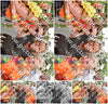 Evenement foto: Nijmeegse Vierdaagse 768
