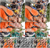 Evenement foto: Nijmeegse Vierdaagse 768