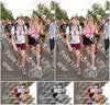 Evenement foto: Nijmeegse Vierdaagse 768
