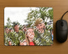 Evenement foto: Nijmeegse Vierdaagse 768