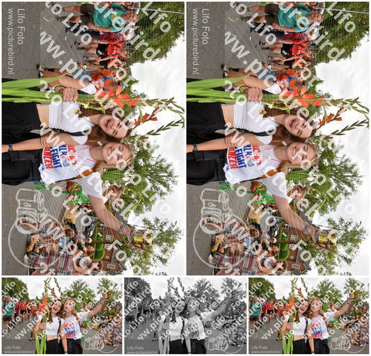 Evenement foto: Nijmeegse Vierdaagse 768
