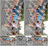 Evenement foto: Nijmeegse Vierdaagse 768