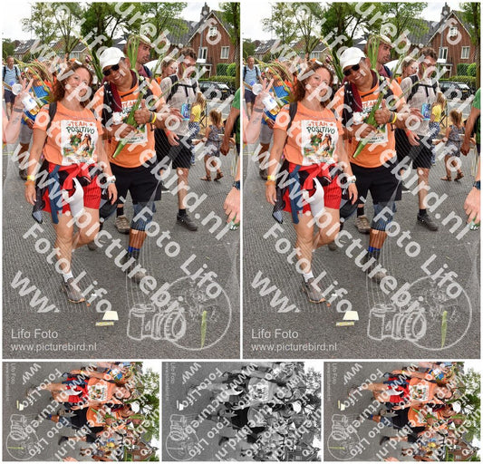 Evenement foto: Nijmeegse Vierdaagse 768