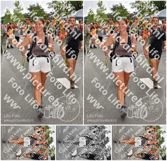 Evenement foto: Nijmeegse Vierdaagse 767