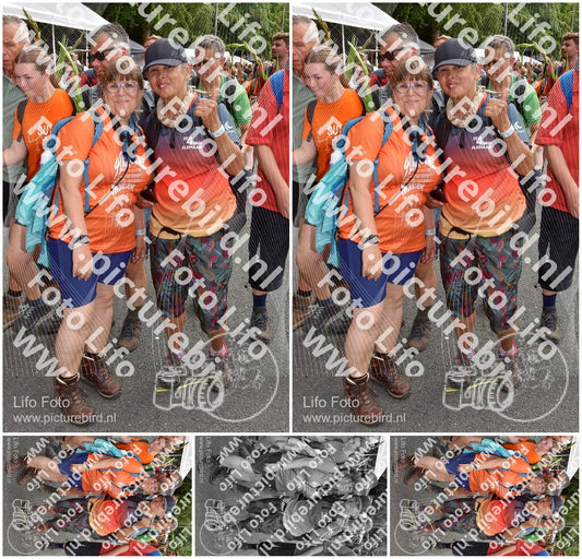 Evenement foto: Nijmeegse Vierdaagse 767