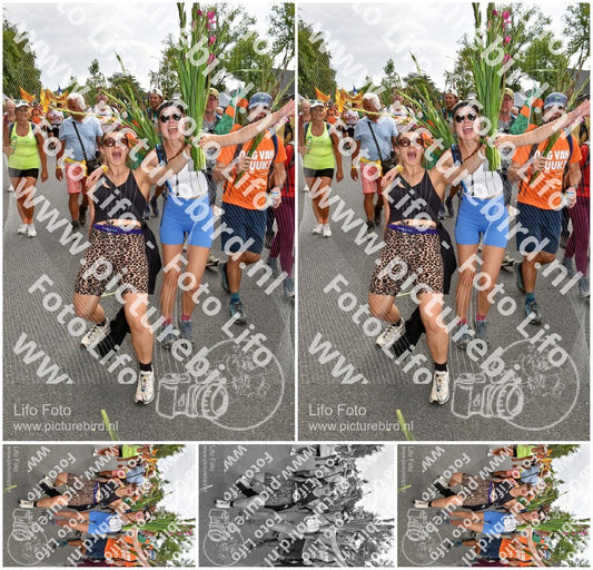 Evenement foto: Nijmeegse Vierdaagse 767