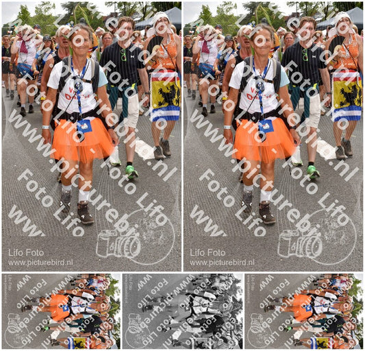 Evenement foto: Nijmeegse Vierdaagse 767