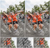 Evenement foto: Nijmeegse Vierdaagse 767