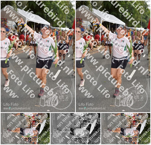 Evenement foto: Nijmeegse Vierdaagse 767