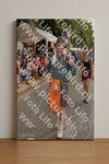 Evenement foto: Nijmeegse Vierdaagse 767