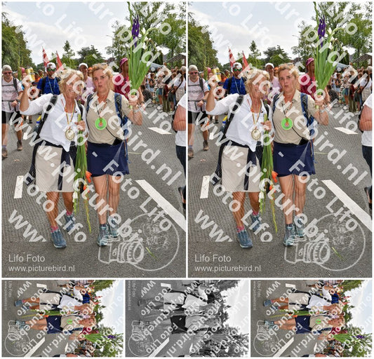 Evenement foto: Nijmeegse Vierdaagse 767