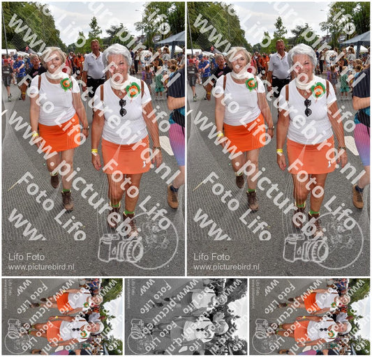 Evenement foto: Nijmeegse Vierdaagse 767