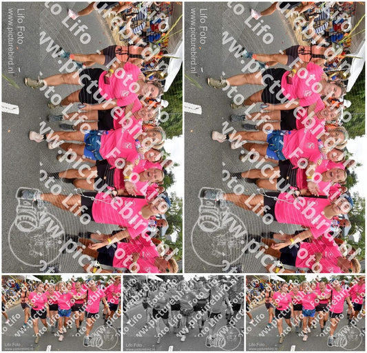 Evenement foto: Nijmeegse Vierdaagse 767