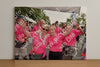 Evenement foto: Nijmeegse Vierdaagse 767