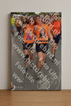 Evenement foto: Nijmeegse Vierdaagse 767
